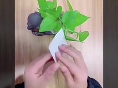 अर्ध-पारदर्शी लोचदार फिल्म ड्रेसिंग